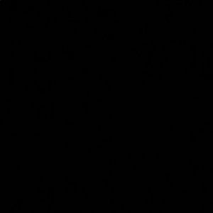 Meet your Posher, Mubarak